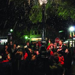 Snowfall Nights - Downtown Newberry