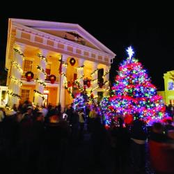 Tree Lighting at Community Hall