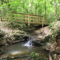 Lynch's Woods Park Bridge Over Creek