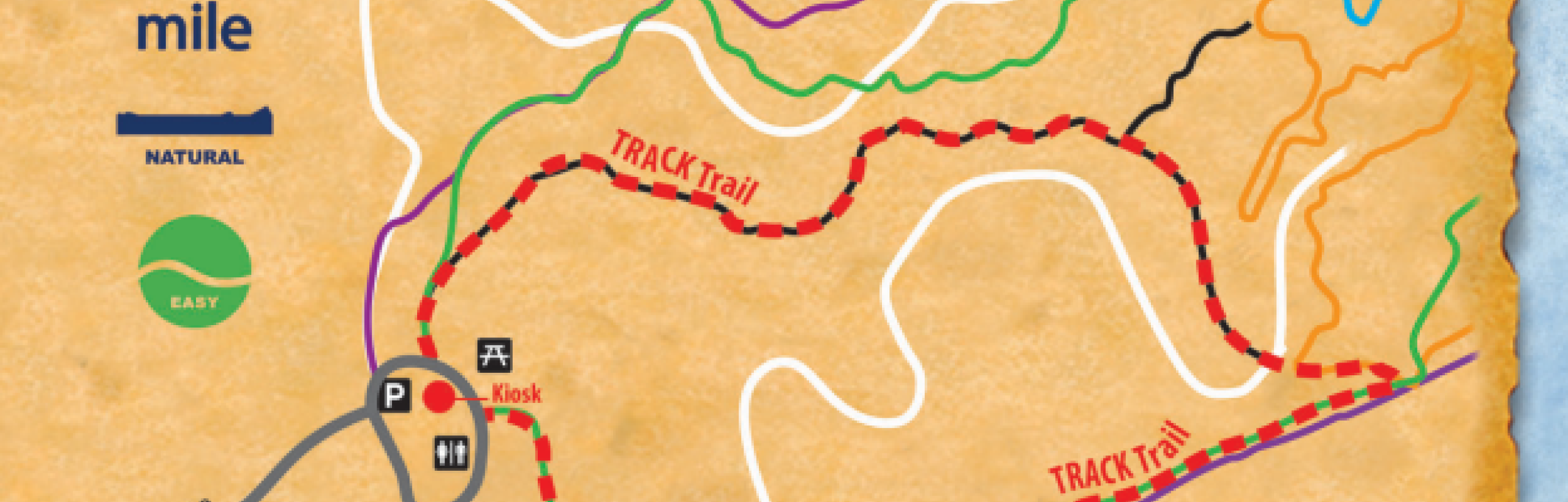 Lynch's Woods Park Map, Newberry, SC