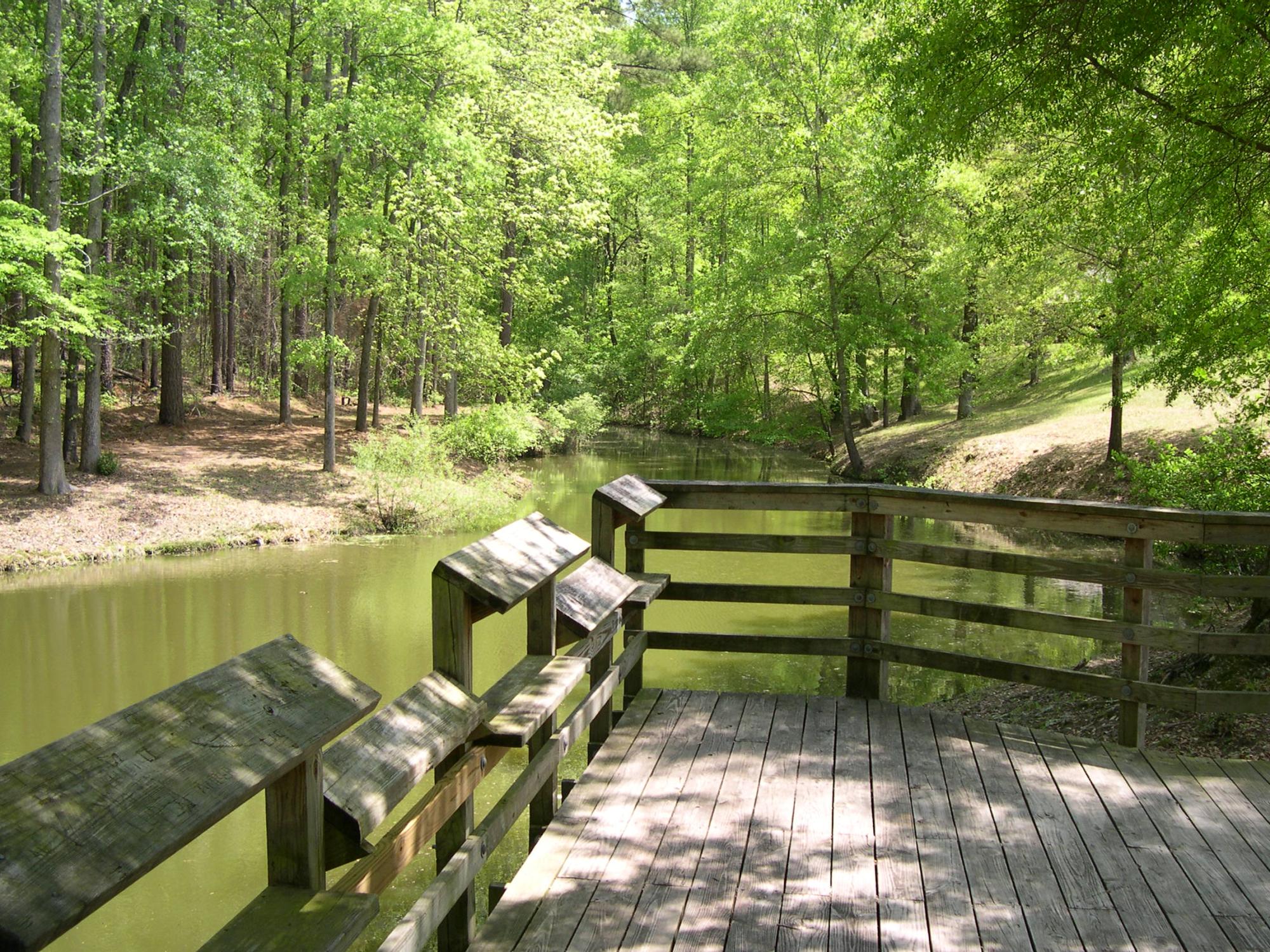 Sumter National Forest